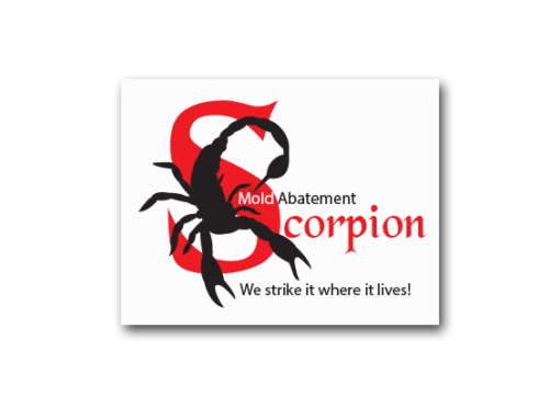 Scorpion Mold Abatement