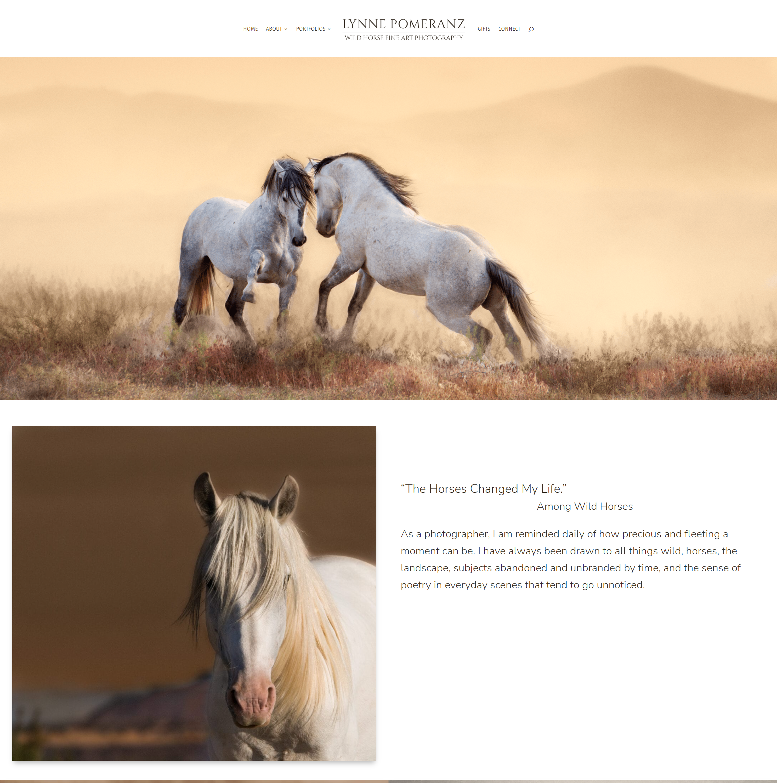 Lynne Pomeranz – Fine Art Wild Horse Photographer